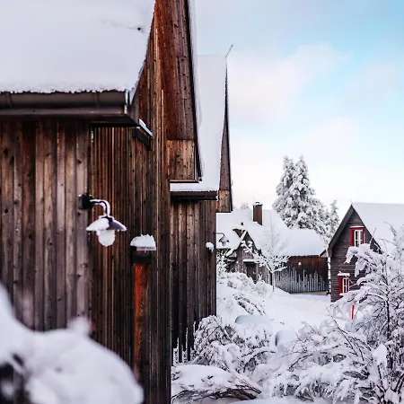 Holiday home Ferienhaeuser Im Harzresort, Torfhaus