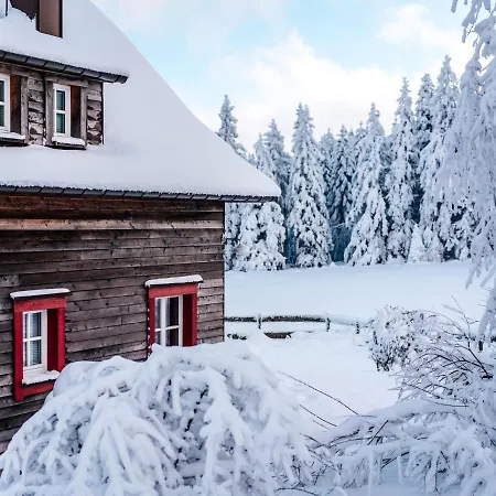 Ferienhaeuser Im Harzresort, Holiday home Torfhaus