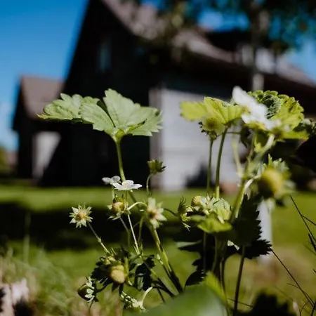 Holiday home Ferienhaeuser Im Harzresort, Torfhaus
