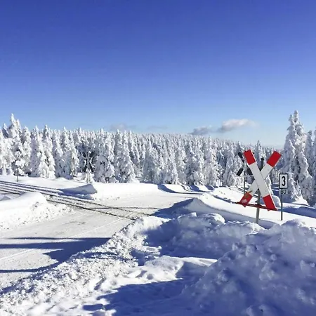Ferienhaeuser Im Harzresort, *