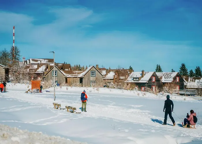 Ferienhaeuser Im Harzresort, 度假居 托夫豪斯
