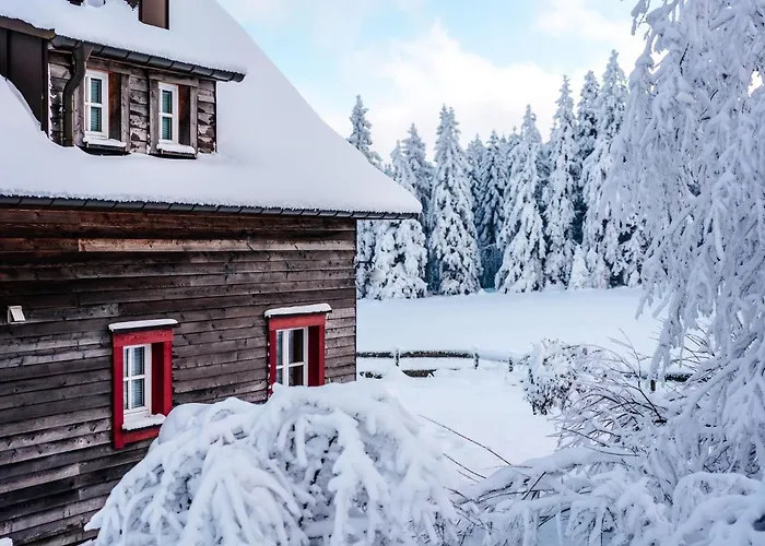 Ferienhaeuser Im Harzresort, 度假居 托夫豪斯