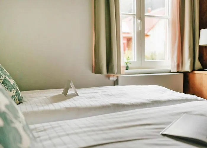 Ferienhaeuser Im Harzresort, 度假居 托夫豪斯